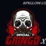 Gringo XP 2023 APK v43 (Latest Version)