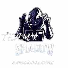 Team Shadow Injector APK