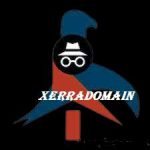 XerraDomain Injector APK