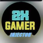 2X Gamer Injector APK